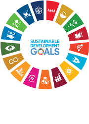 The Sustainable Development Goals (SDGs)
